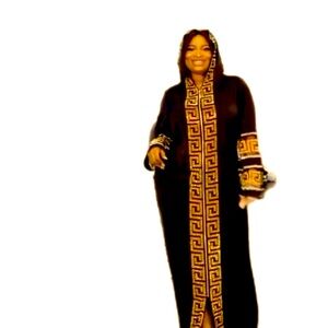 NWT Fit collection dress .